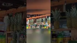 Hidden Gems of DFW