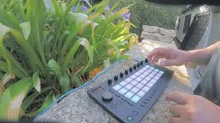 Lofi Guitar Beat Ableton Move Dawless jam live beat making lofi chill beat original samples