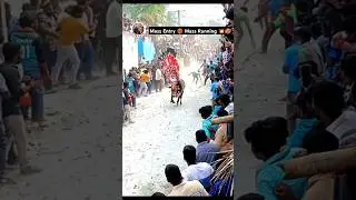 Mass Entry ❤️&zwj;🔥 Mass Running 💥🥵 Kothasanambatla Jallikattu 🔥 #shorts #bull #ytshorts #yt #pspk