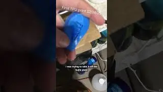 First TPU Print! (SUNLU 90A TPU)