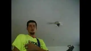 Bassmonkey Special