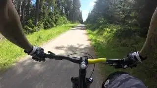 Hamsterly Forest GoPro Hero 4