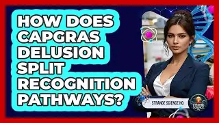 How Does Capgras Delusion Split Recognition Pathways? - Strange Science HQ