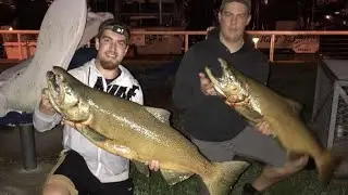 How to Catch Salmon in Port Washington from Shore!!!