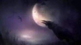 Grave Raven 