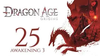 Dragon Age Origins - [DLC]: Awakening [3/6] | No Commentary ITA [Upscale 4K]