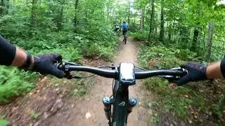 Gifford Woods State Park, Vermont