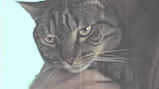 The Film Revenge - Grindhouse Style Overlays 2