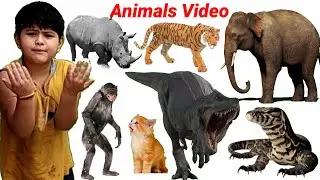 CUTE Animals! Learn Animals Name Dog, Cat, Dainosar, Cow, Rhino 🐈🐕🐆| Animals sounds | #animals