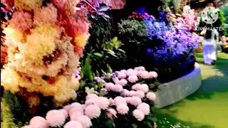 FLORAL FANTASY