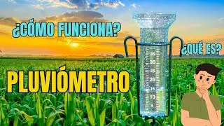 Qu&eacute; es un Pluvi&oacute;metro y como funciona?🌧 