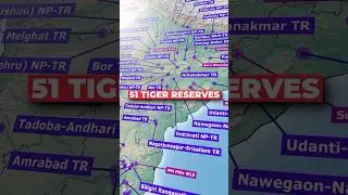 The tigers of India! 🐅🇮🇳 #TigerReserves  #SaveTheTiger #tiger