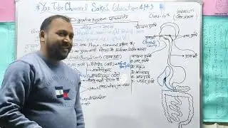 जैव प्रक्रम (पाचन तंत्र) education# class by arvind sir