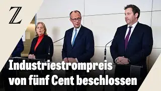Regierung plant g&uuml;nstigeren Strompreis f&uuml;r deutsche Industrie