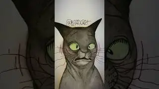 Тенька влюбился?..🥹🖤🤍ТГК: barrxat TikTok: BarrxArt Instagram: BarrxArt BK: barrx_art #cat #love