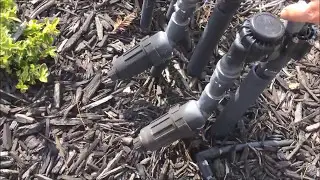 Drip irrigation repair- running a new line underneath the sidewalk