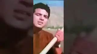 वो भी क्या दिन थे तूने दिल में बिठाया था कभी #dharmendra and Nutan #song Mohammad Rafi