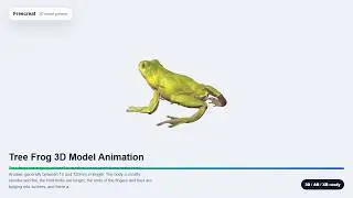 Download Tree Frog 3D Model Animation 3D Model on Freecreat | GLB FBX OBJ STL