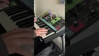 P Funk type bass Moog Grandmother