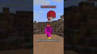 the rarest seed in minecraft. (once and for all)