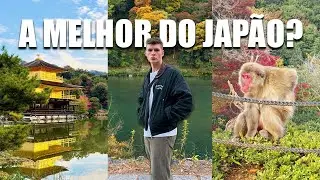 Encontrei Macacos Selvagens no Jap&atilde;o