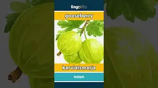 🇬🇧🇫🇮 gooseberry - karviaismarja : learn English : opetellaan englantia : vocabulary builder
