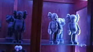 Kaws Collection