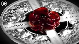 The SOLD OUT remarkable Glass Poppy Coin...