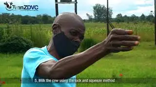 TranZDVC   MILKING PROCEDURE & HYGIENE TRAINING FINAL PROJECT ZW