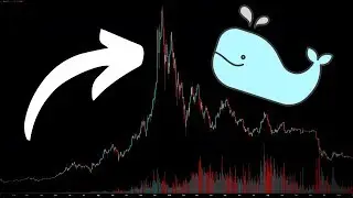 Bitcoin WHALE MANIPULATION