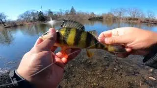 RI Freshwater  Fishing