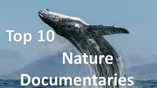 Top 10 Nature Documentaries as per IMDB | You must see in Hindi