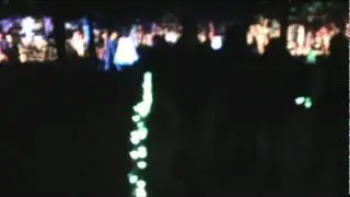 Tulsa Christmas light display 2010