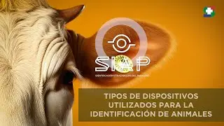 SIAP | TIPOS DE DIPOSITIVOS DE IDENTIFICACIÓN ANIMAL