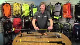 BCA Scepter Poles