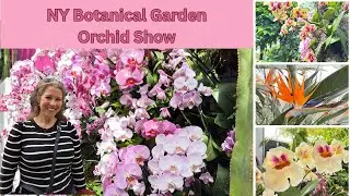 🌸NYC Spring🌸 NY Botanical Garden Orchid Show 2025