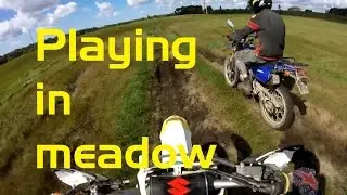 Enduro | Playing in a Marsh Meadow