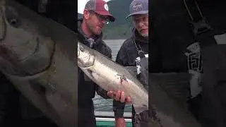 NWFTV#188: Vancouver Island Salmon