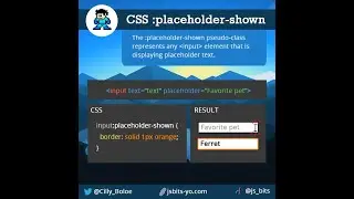 CSS :placeholder-shown