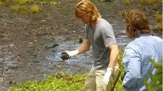 Brad Pitt Urged to Abandon Chevron Oil Spill Film