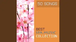 Wellness Music