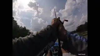 bass fishing at Tribble mills Park
