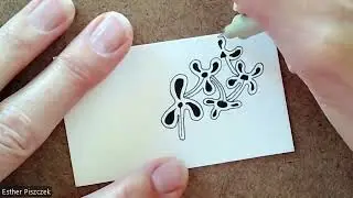 Zentangle (R) Explore with Esther Piszczek, CZT: Frostz, Laura Varas, Certified Zentangle Teacher
