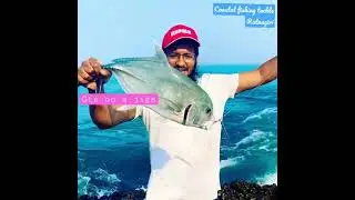 Jig love ❤️ jigging from shore || shore jigging || coastal fishing tackle || Ratnagiri fishing