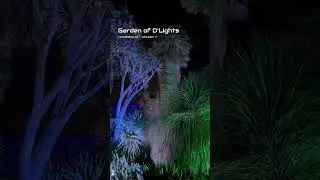 Garden of D'Lights - Holiday Light Show at the Ruth Bancroft Garden