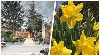 75 Small Yellow Landscaping Design Ideas You'll Love ☆
