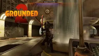 Web of Dread: The Last Spin in the Spider Queen&rsquo;s Wild Trap | Grounded 2