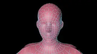 Cinema 4D tutorial  EDGE TO SPLINE