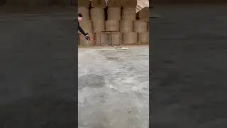 Puck shooting #hockey #pucks #snapshot #shorts