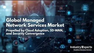Managed Network Services (MNS) - A Global Market Overview | Report by Industry Experts, Inc.